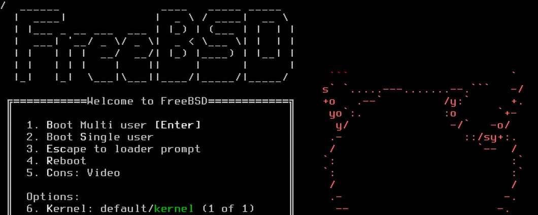 FreeBSD 14.3 aggiorna i driver di rete e il file system OpenZFS