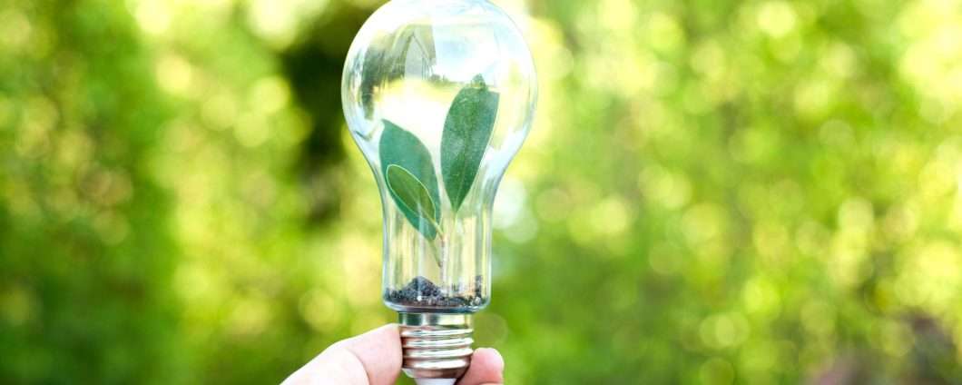 Luce a 0,10€ e Gas a 0,36€: l'incredibile tariffa fissa di Octopus