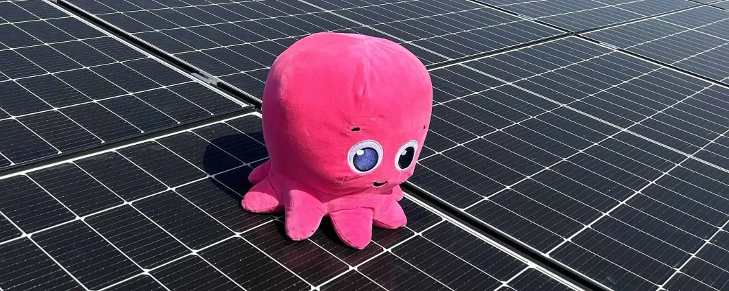 Blocca il costo dell'energia con Octopus: prezzi fissi per un anno, solo per oggi