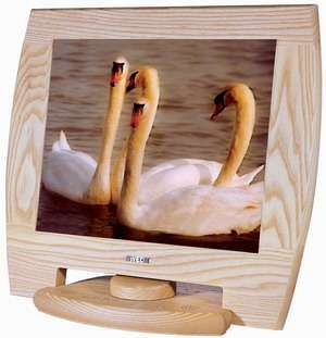 Il monitor di legno