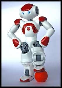 Robot, il 2010 è l'anno di Nao Nao in versione calcistica