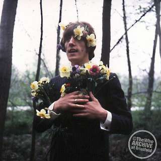 Roger Daltrey