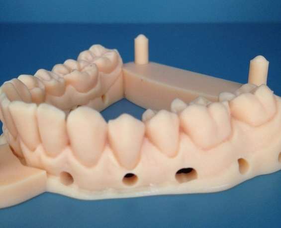 Risultati immagini per modello 3d dente