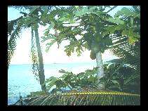 l'Isola di Niue