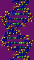 Una rappresentazione del DNA
