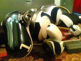 Uno dei robot della competizione