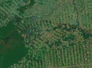 La deforestazione vista dal satellite