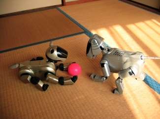 Cuccioli robot