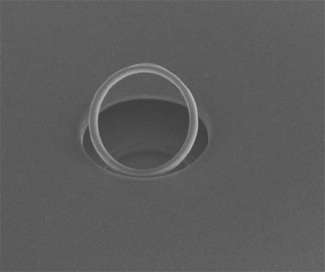 Ma sei matto? Non ti sposo!