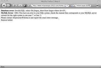 Una delle vulnerabilità del portale