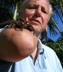 il celebre naturalista