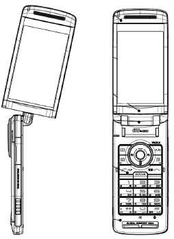 La fotocamera-cellulare di Casio e Hitachi