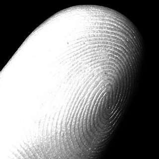 my fingerprint (index, left hand) - fazen