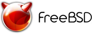 FreeBSD 8.0