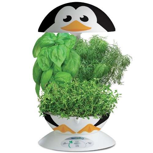 aerogarden penguin