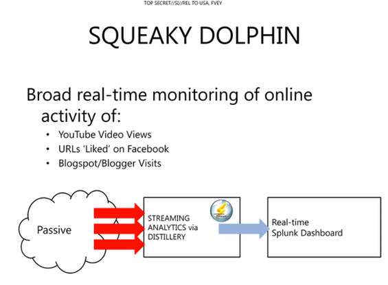 Squeaky Dolphin