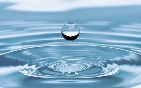 Contro il logorio della vita moderna, Google