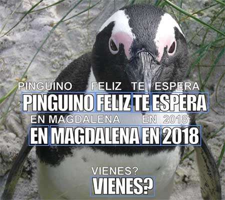 La modalità impiegata da Rosetta per analizzare il testo contenuto nelle immagini