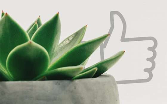 Amazon Scout: like e consigli per gli acquisti