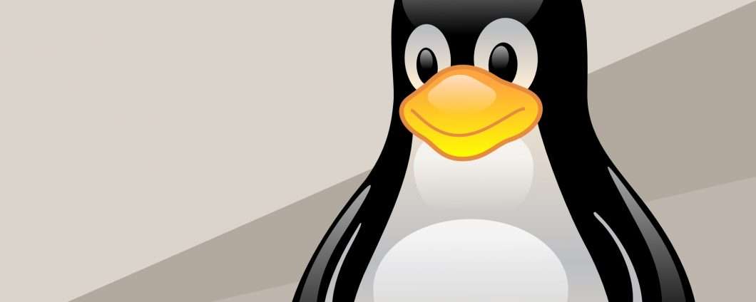 Linux: ​Linus Torvalds si prende una pausa
