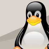 Linux avrà un linguaggio più inclusivo