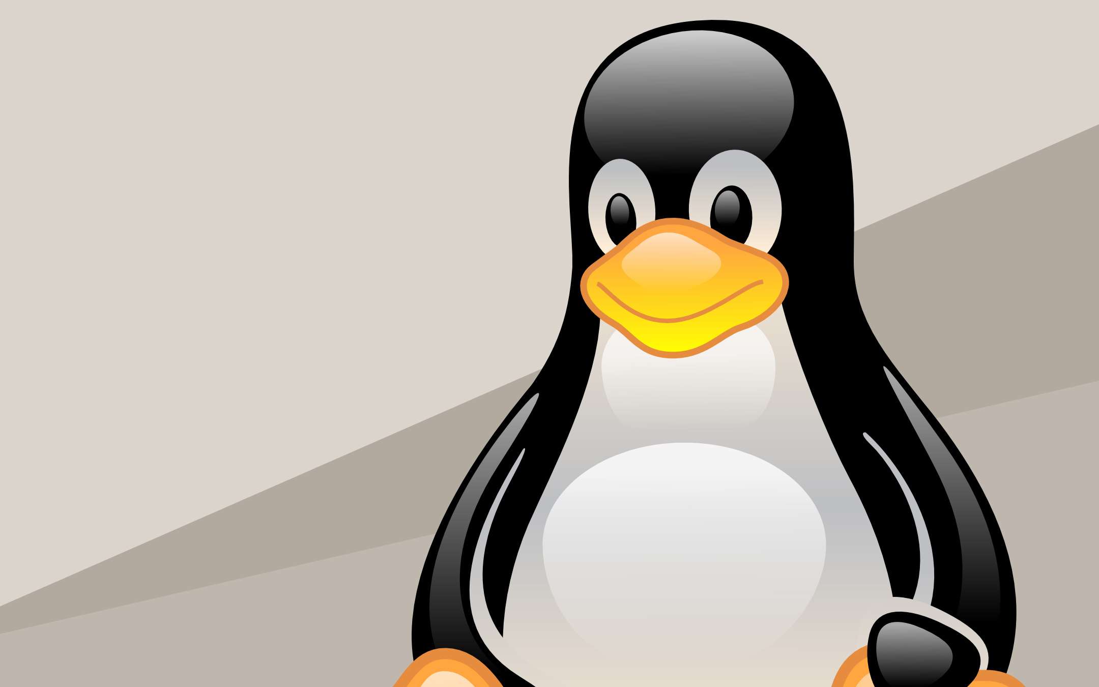 Linux will have a more inclusive language