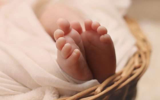 Il profilo dei nostri figli