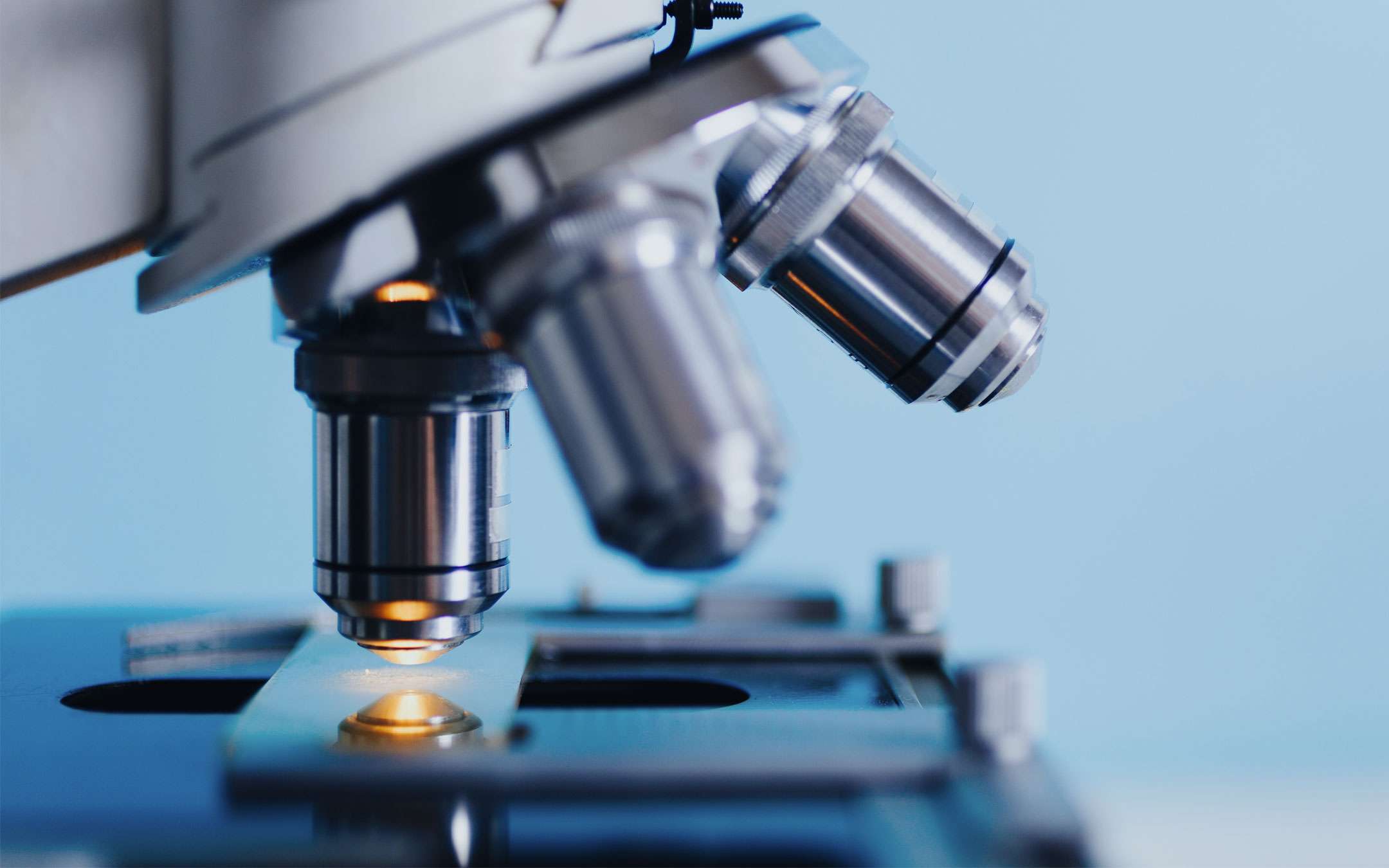 IBM Italy: software for early diagnoses IBM Italy: software for early diagnoses