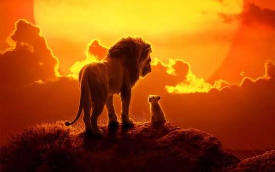 Disney+: in streaming tutti i film del catalogo