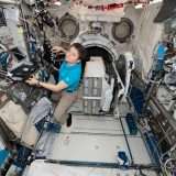 Stazione Spaziale Internazionale: batteri a bordo
