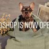 Instagram: account ufficiale @shop per l'ecommerce