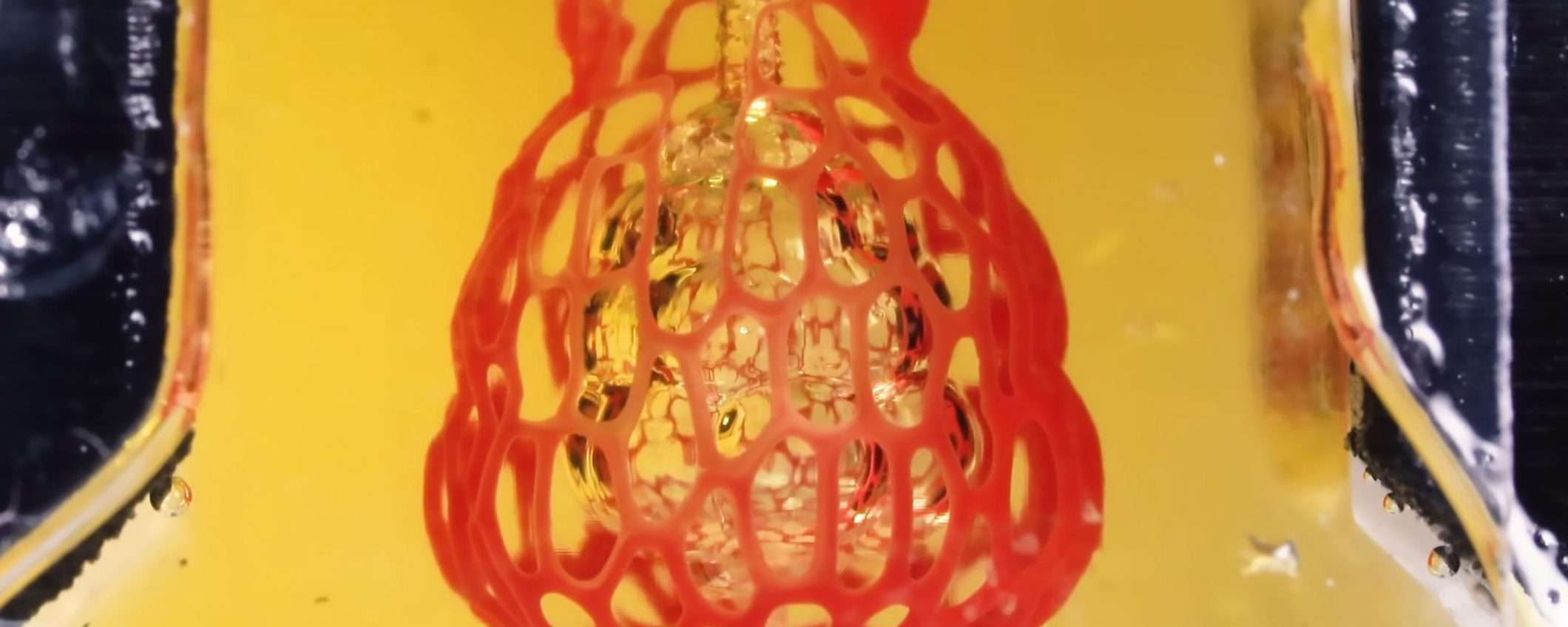 Il primo sistema vascolare stampato in 3D