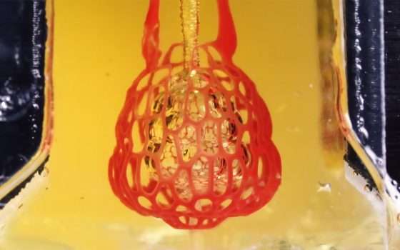 Il primo sistema vascolare stampato in 3D