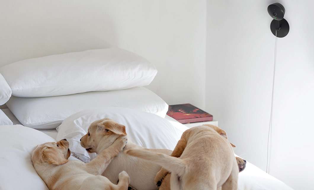 TP-Link kasa Smart: telecamera di sorveglianza indoor