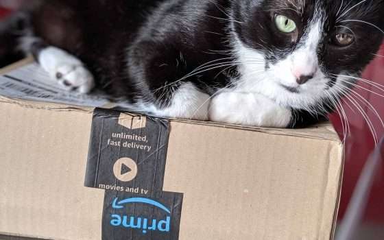 Amazon è il brand che vale di più al mondo