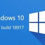 Windows 10 20H1 build 18917 nel Fast Ring