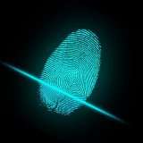 Ci sarà sempre più biometria nei pagamenti digitali