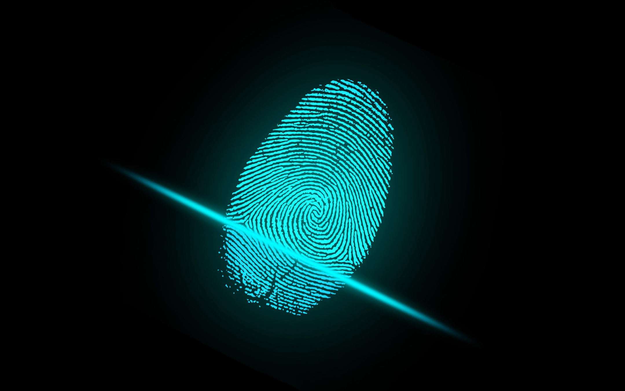 There will be more and more biometrics in digital payments