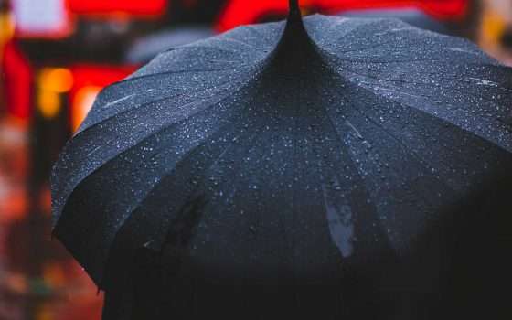 Le self-driving car Waymo e la pioggia del Florida