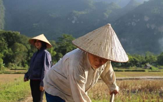 La trade war tra USA e Cina favorirà il Vietnam