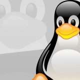 Linux: vulnerabilità per Sudo, già risolta