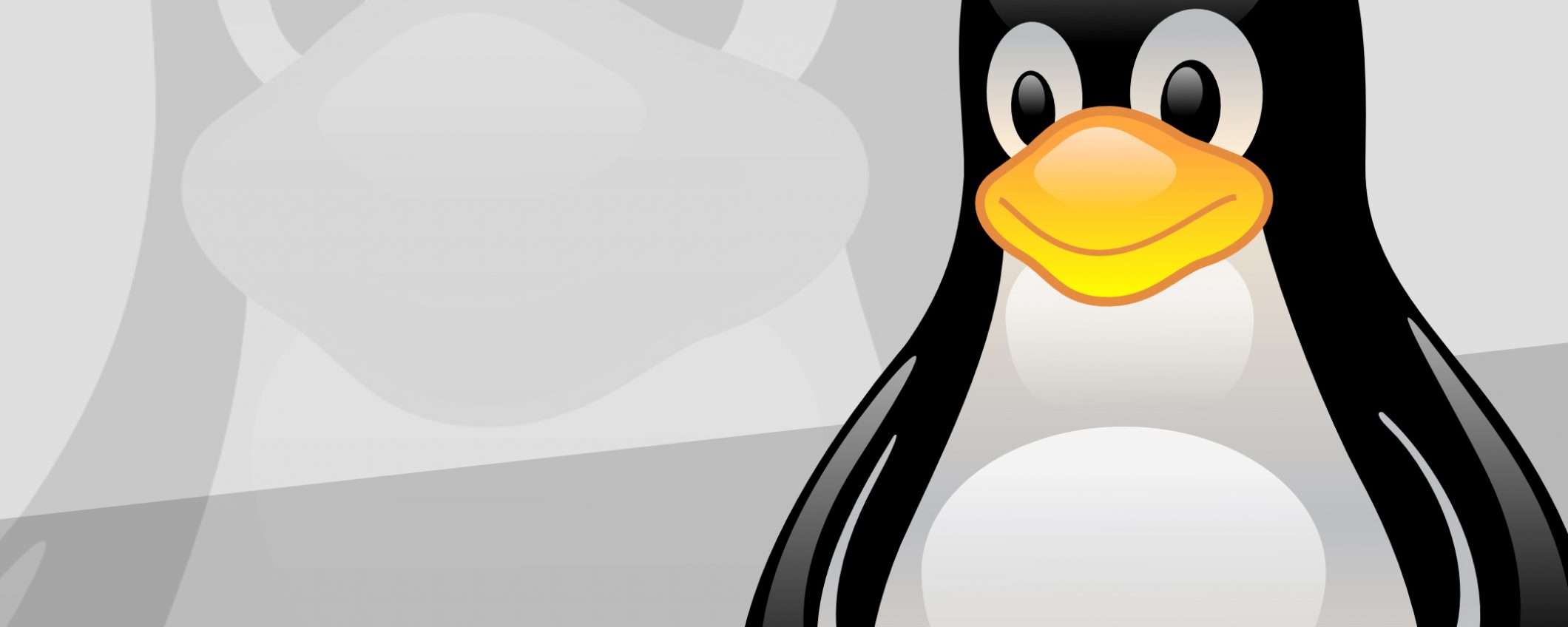Linux: dal 2009 un bug fa acquisire privilegi root