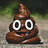 Il database della cacca ha bisogno di te