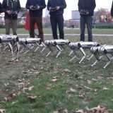 Il MIT porta i suoi robot Mini Cheetah al parco