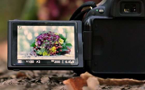 Come aprire e convertire foto e immagini in formato HEIC