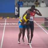 Il 2019 su Google: di eroi e come fare un pollaio