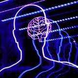 Il cervello di una mosca nella mappa di Google