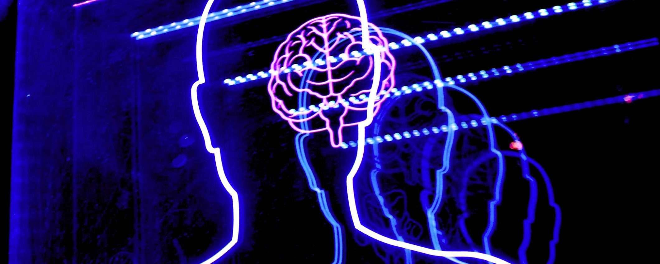 Il cervello di una mosca nella mappa di Google