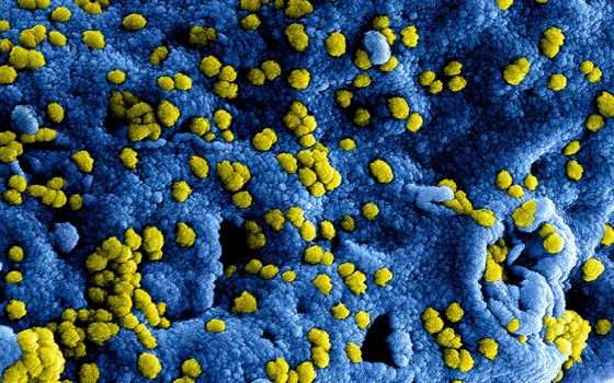 Coronavirus: aggiornamenti, fonti e risorse per seguire l'evoluzione dell'epidemia
