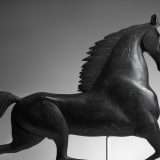 Smithsonian regala 2,8 milioni di immagini con CC0